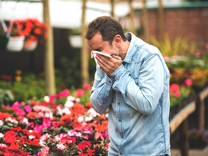 What_are_the_Symptoms_of_Hay_Fever-_732x549-thumbnail-1-732x549